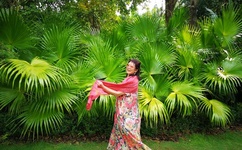 亚洲AV 日韩 国产 有码